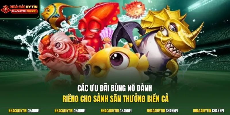 Các ưu đãi bùng nổ dành riêng cho sảnh săn thưởng biển cả